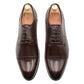 Estero Blake Stitch Walnut Derby