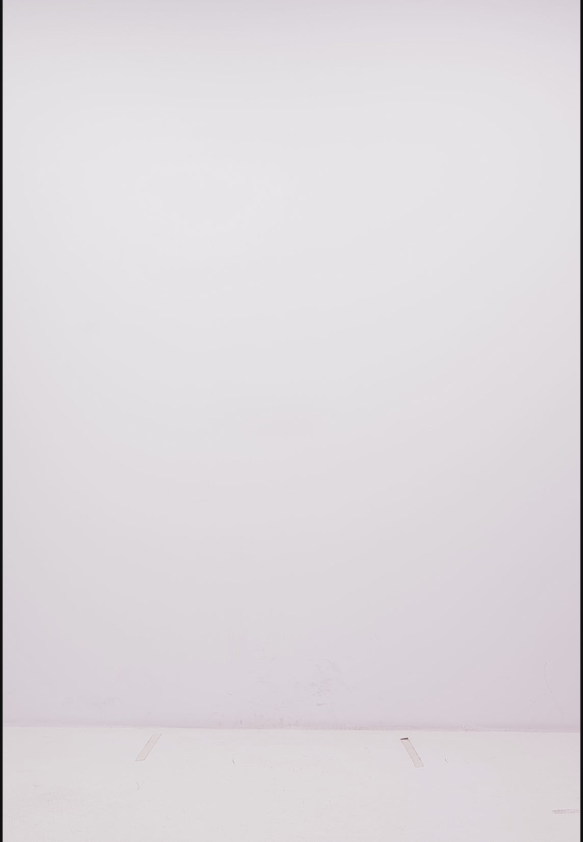 The Organic Polo - Navy