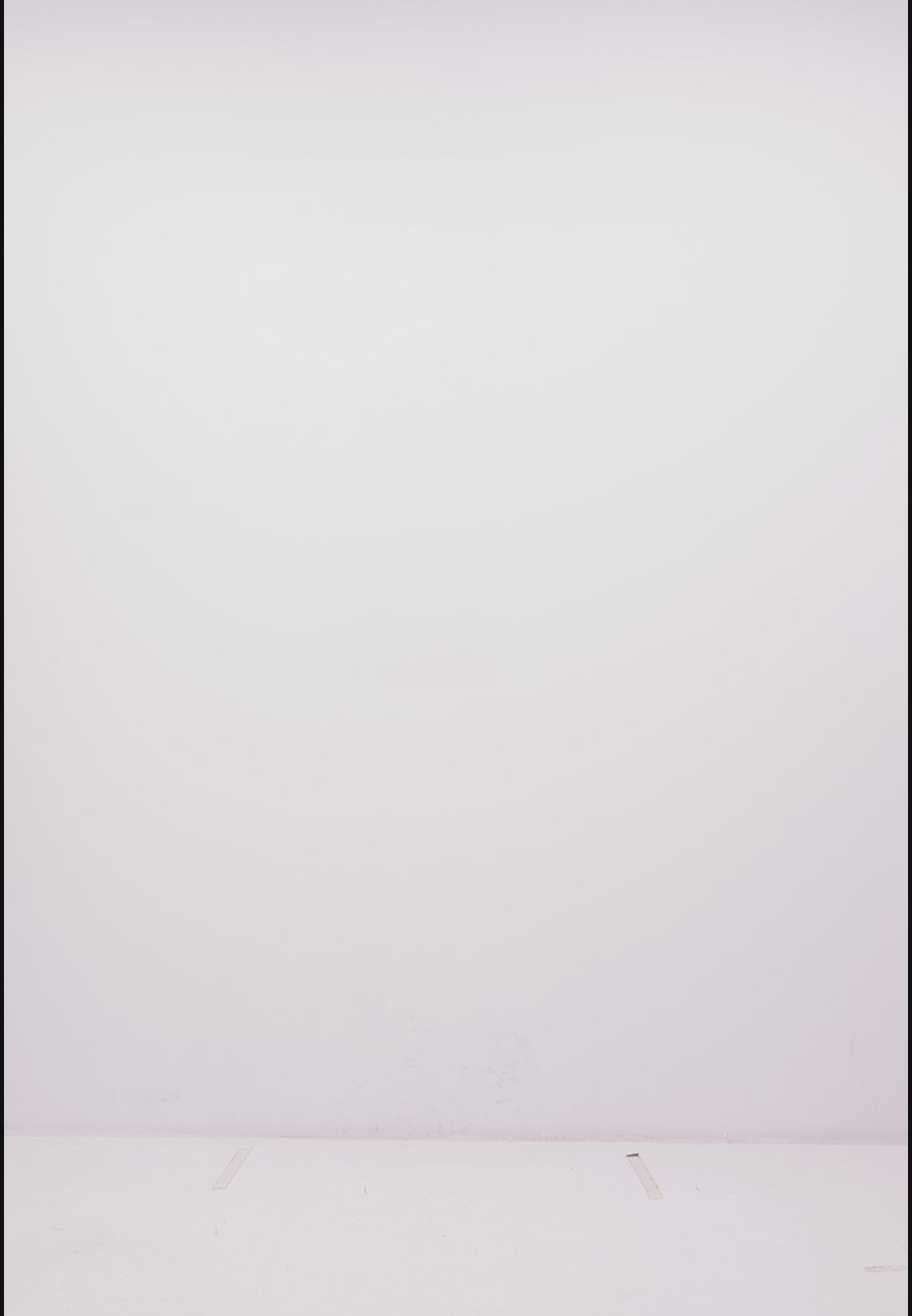 The Organic Crew - Moss