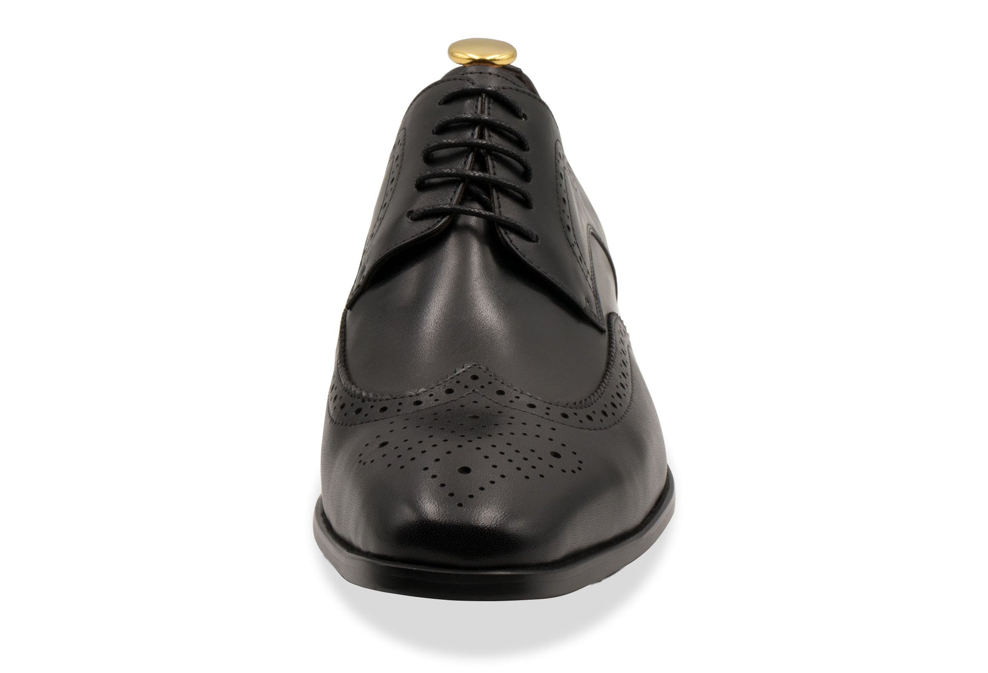 Caseros Wingtip Black Derby Leather Shoes
