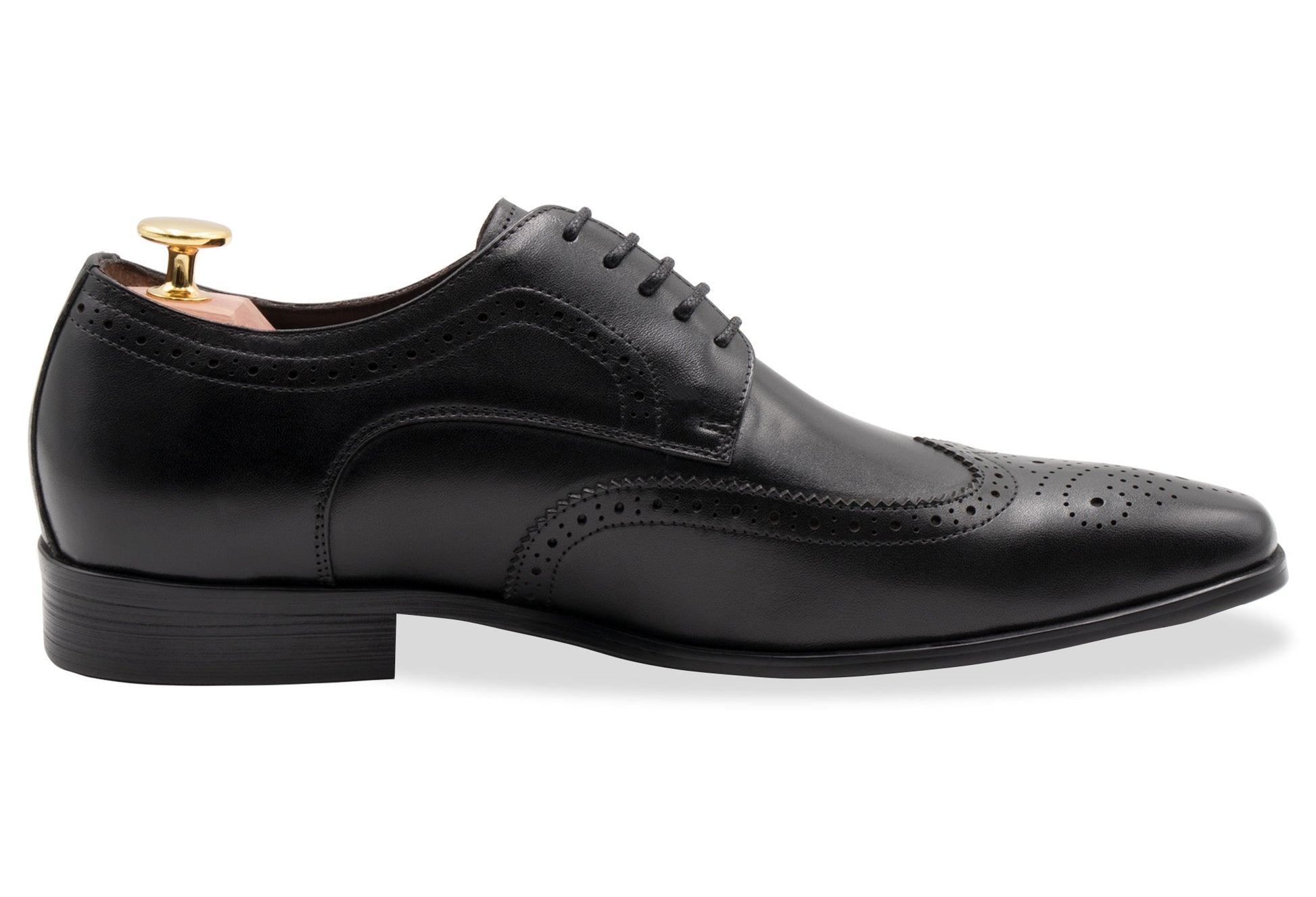 Caseros Wingtip Black Derby Leather Shoes
