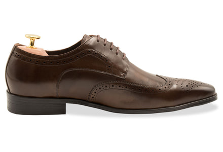 Caseros Wingtip Walnut Derby Leather Shoes