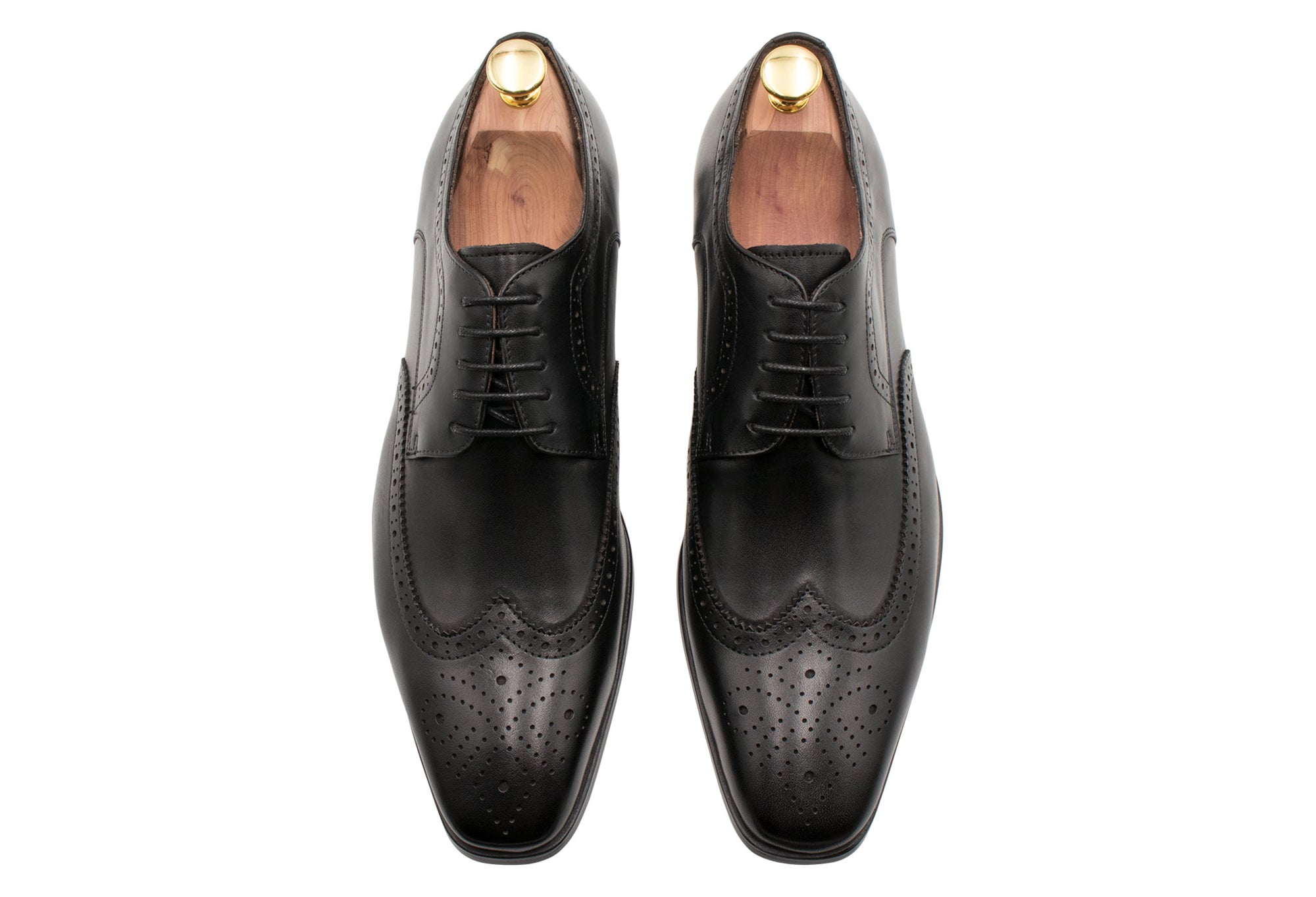 Caseros Wingtip Black Derby Leather Shoes