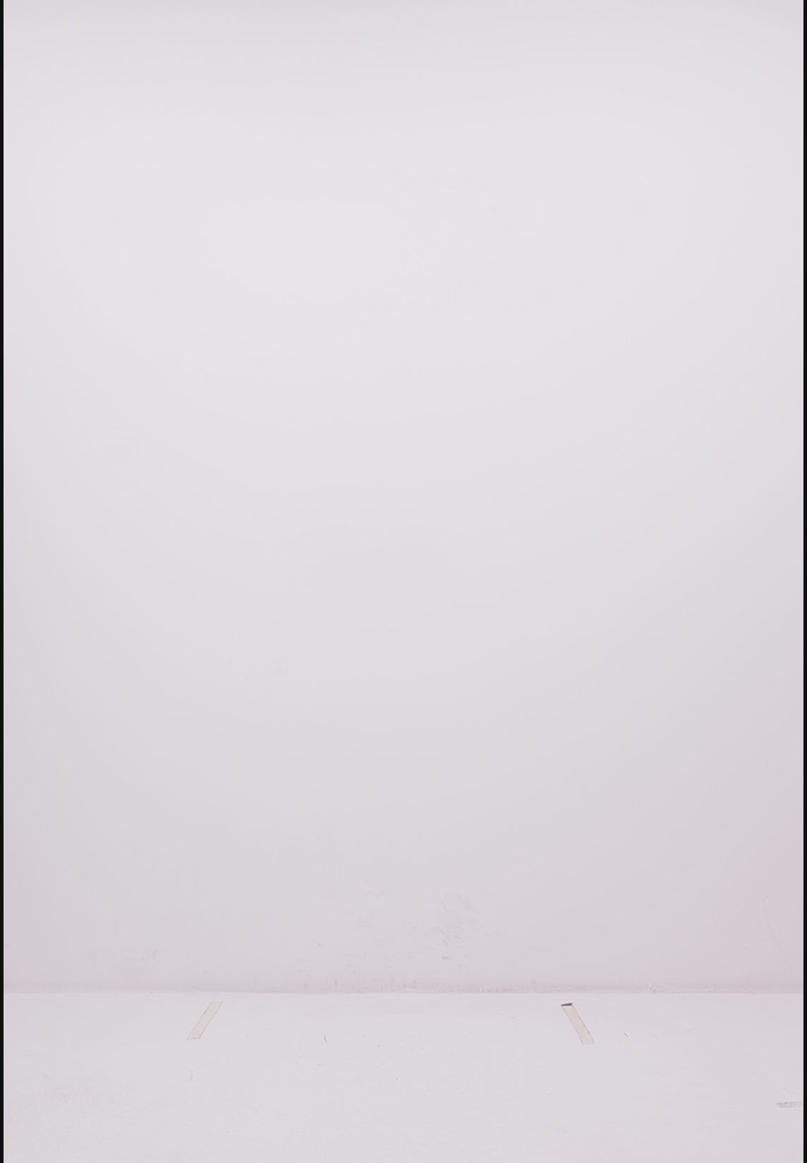 The Organic Crew - Black