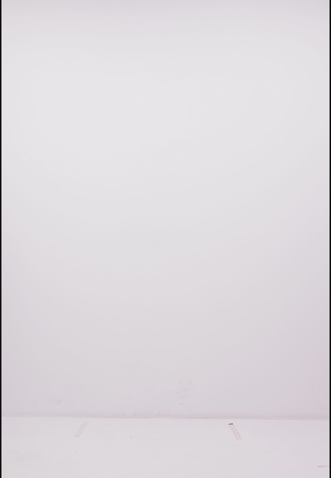 The Organic Crew - Cream