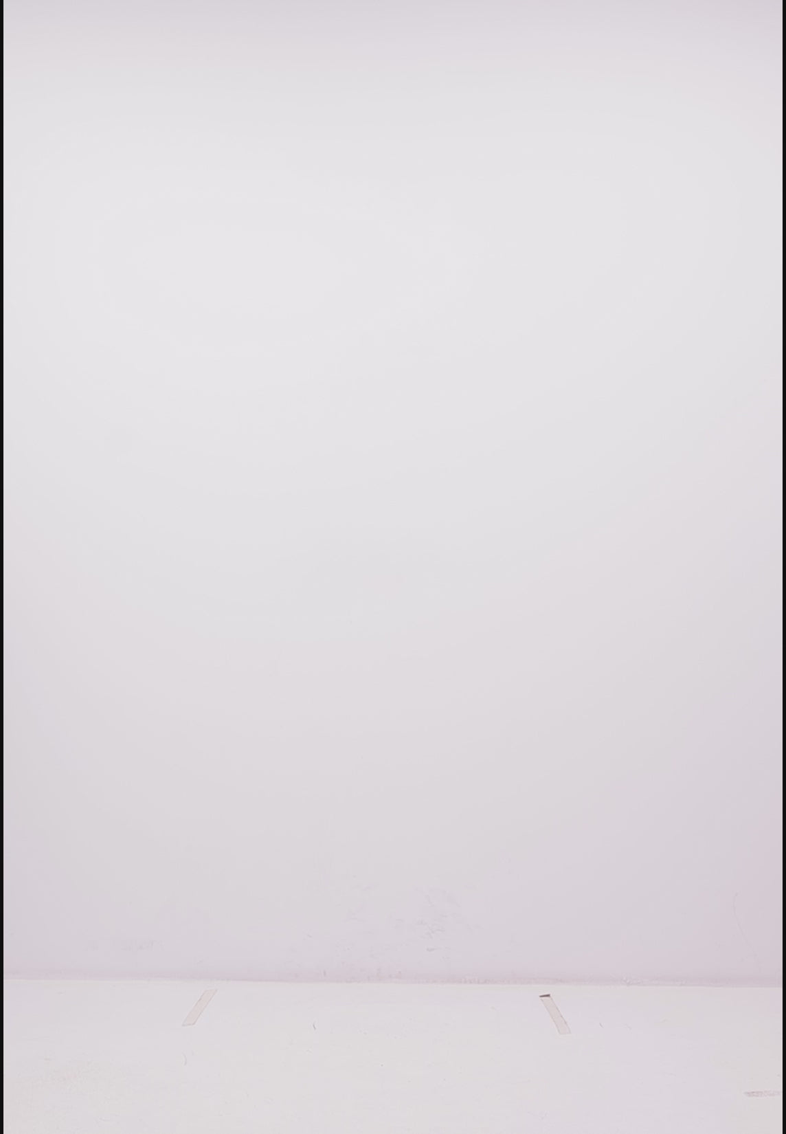 The Organic Polo - White