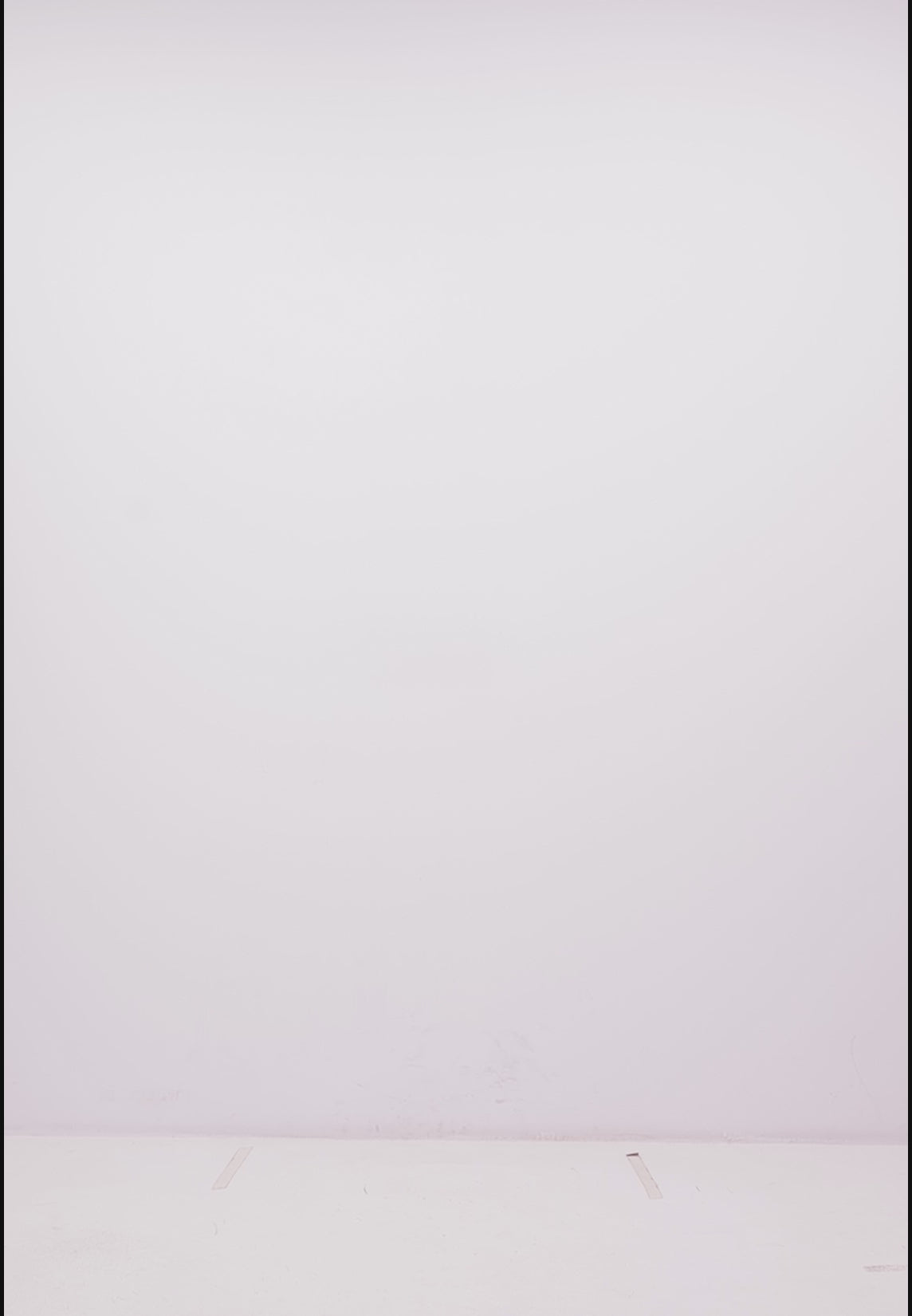 The Organic Polo - Black